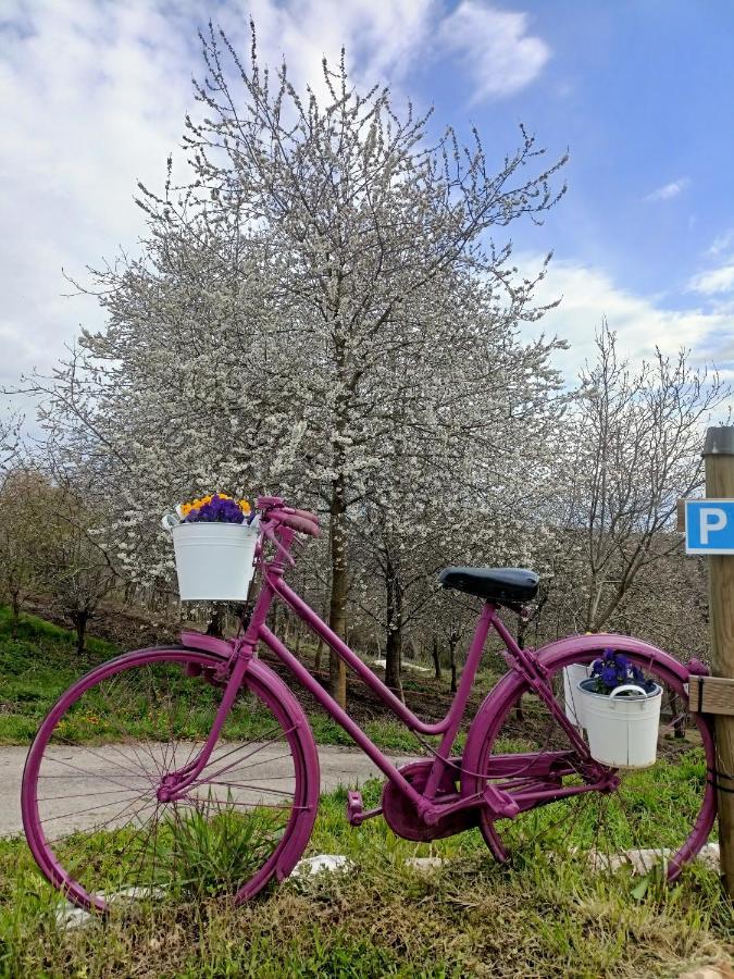 La Casa Di Beppe Villa Conco Buitenkant foto